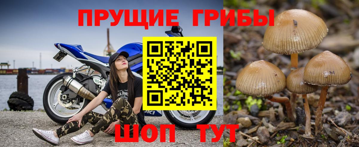 Кинель  Галлюциногенные грибы ЛСД  Вход с VPN 